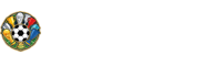 世界杯决赛直播